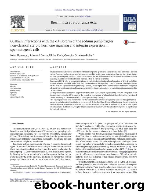 Ouabain interactions with the Î±4 isoform of the sodium pump trigger non-classical steroid hormone signaling and integrin expression in spermatogenic cells by Neha Upmanyu & Raimund Dietze & Ulrike Kirch & Georgios Scheiner-Bobis