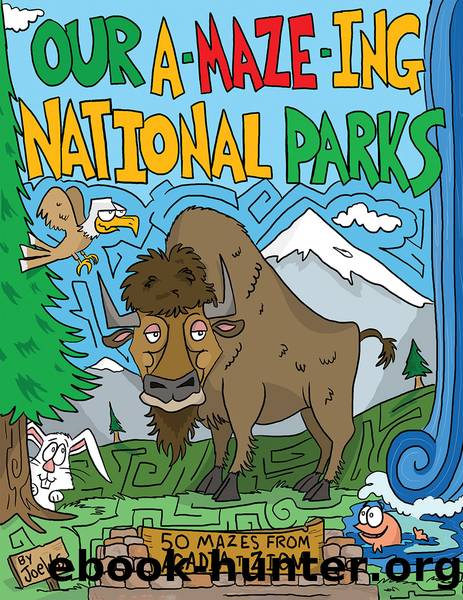 Our A-Maze-ing National Parks by Joseph Wos