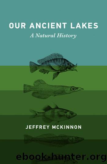Our Ancient Lakes by Jeffrey Mckinnon