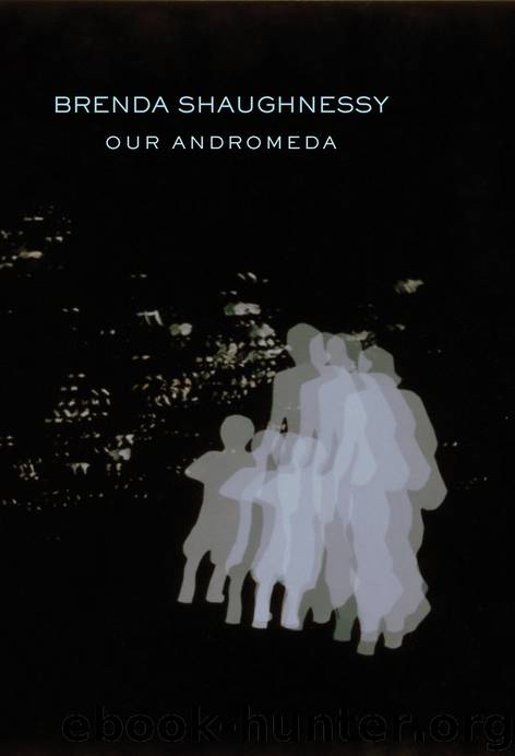 Our Andromeda by Brenda Shaughnessy
