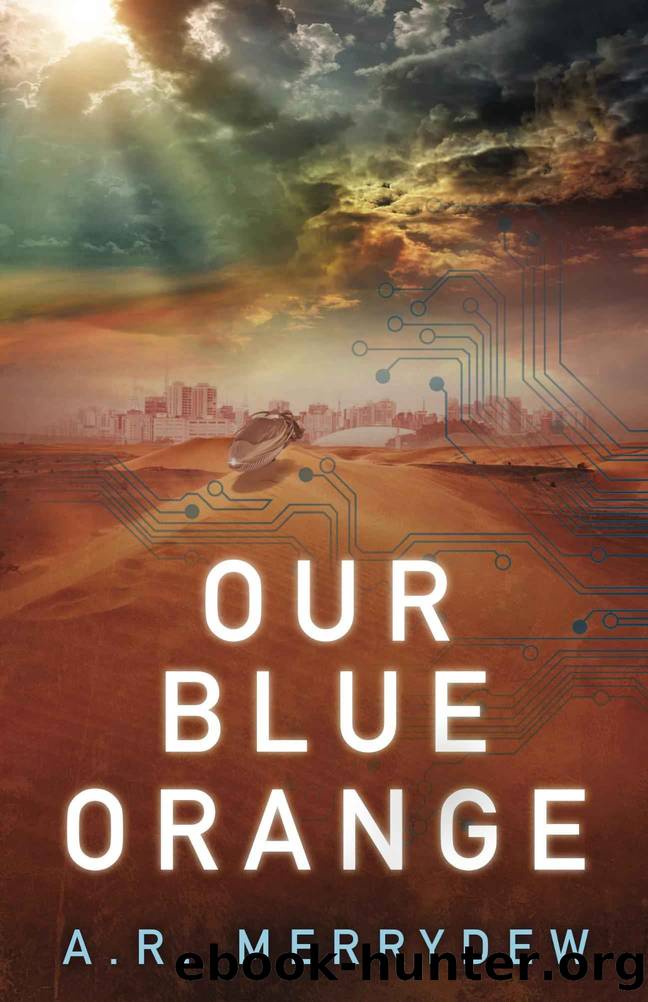 Our Blue Orange by A Merrydew