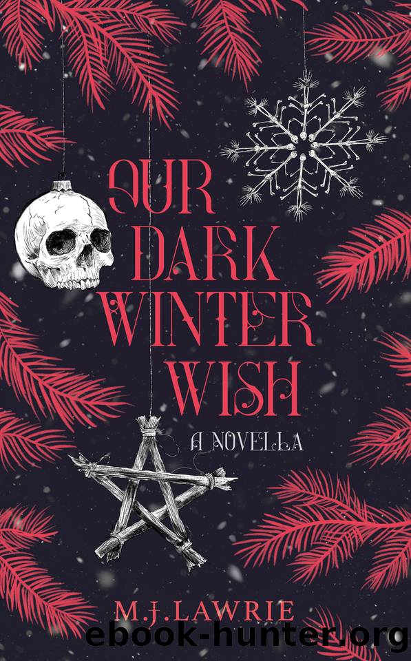 Our Dark Winter Wish: A Novella by Lawrie M. J
