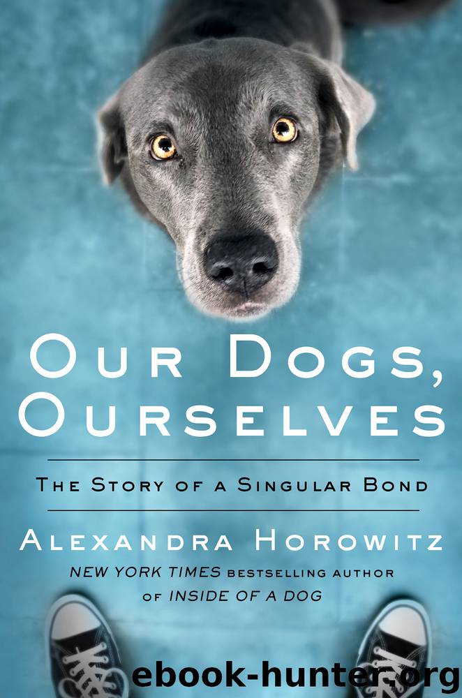 Our Dogs, Ourselves by Alexandra Horowitz