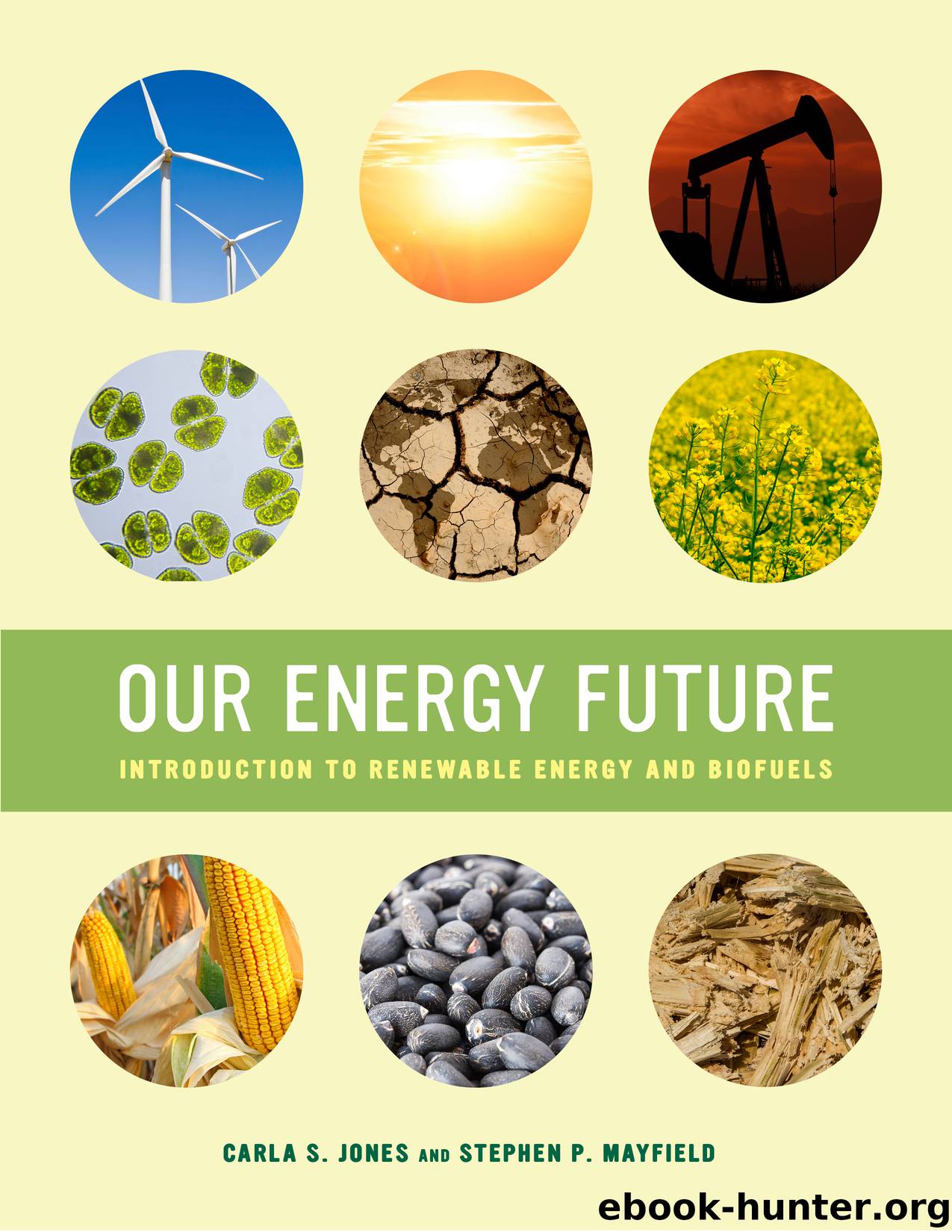 Our Energy Future by carla s. jones stephen p. mayfield