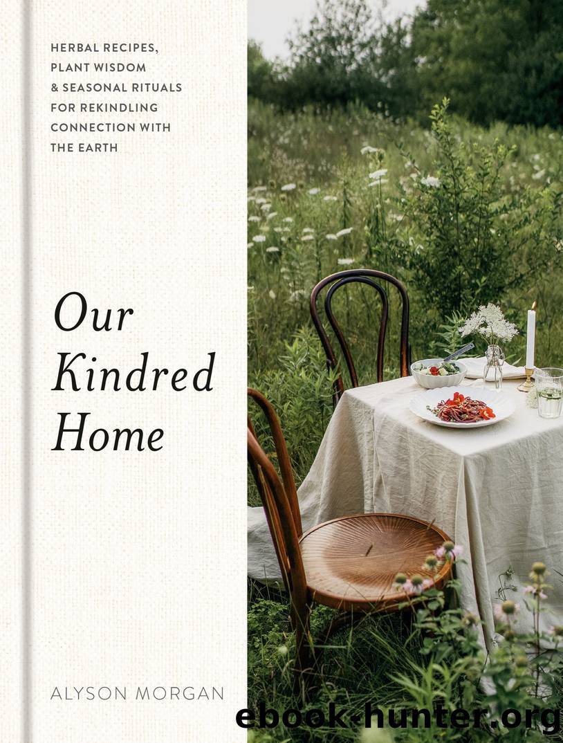 Our Kindred Home by Alyson Morgan