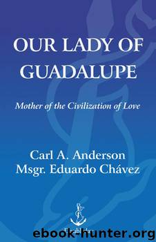 Our Lady of Guadalupe by Carl Anderson