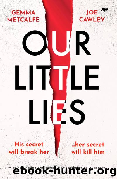 Our Little Lies by Gemma Metcalfe & Joe Cawley