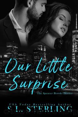 Our Little Surprise (The Spencer Brooks Diaries Book 2) by S.L. Sterling