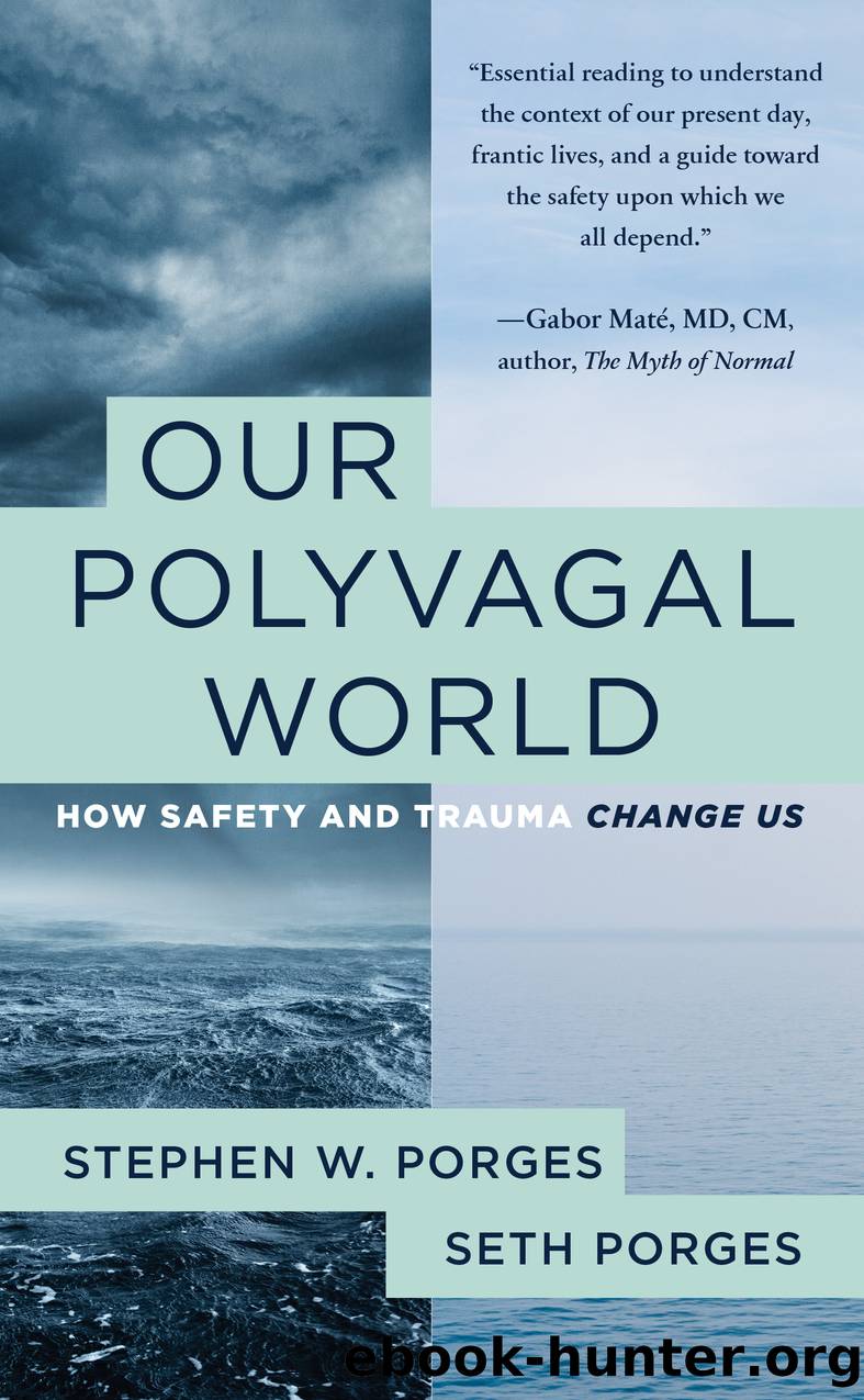 Our Polyvagal World by Stephen W. Porges