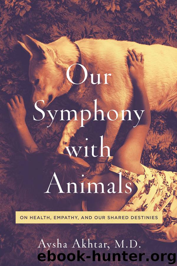 Our Symphony with Animals by Aysha Akhtar