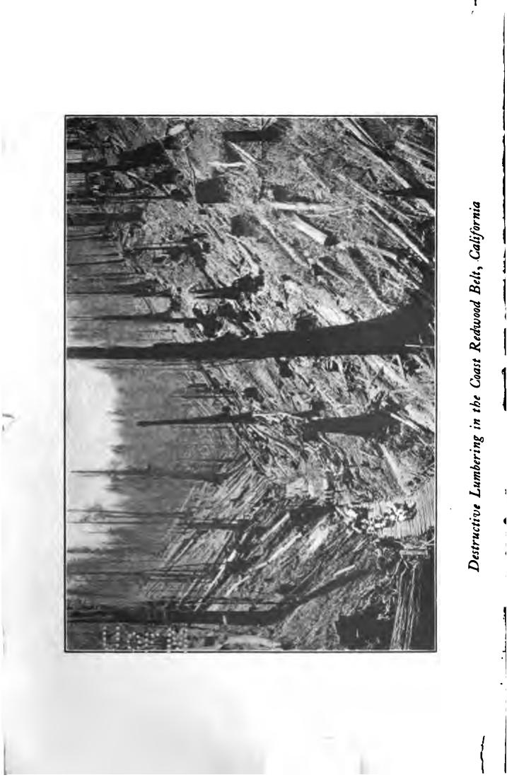 Our Wasteful Nation. The Story of American Prodigality and the Abuse of Our National Resources by Rudolf Cronau