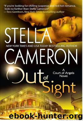 Out of Sight by Cameron Stella