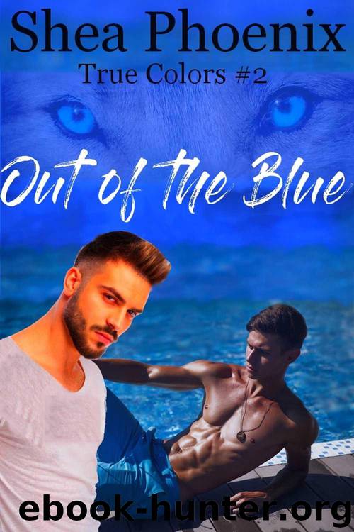Out of the Blue: An MM Mpreg Romance (True Colors Book 2) by Phoenix Shea