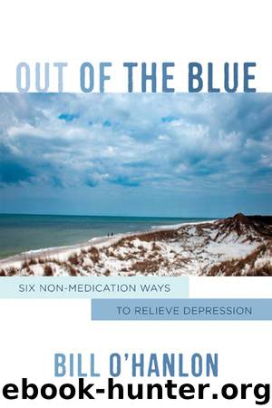 Out of the Blue: Six Non-Medication Ways to Relieve Depression (Norton Professional Books) by Bill O'Hanlon