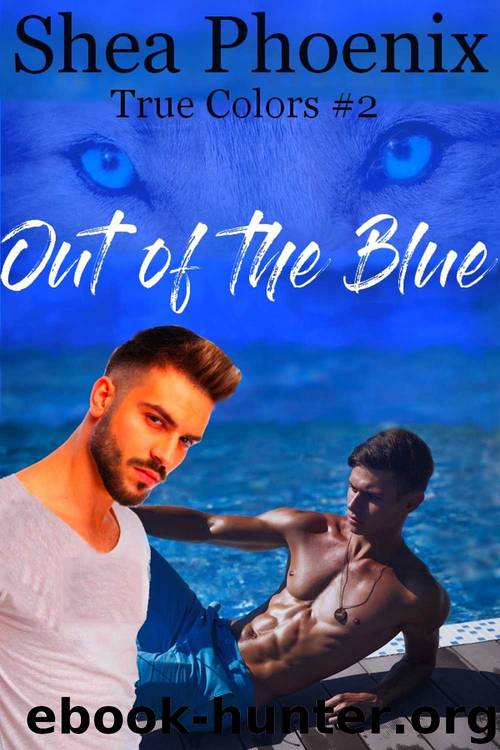 Out of the Blue: True Colors #2 by Phoenix Shea