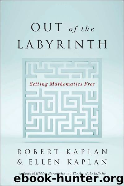 Out of the Labyrinth by Kaplan Robert & Kaplan Ellen