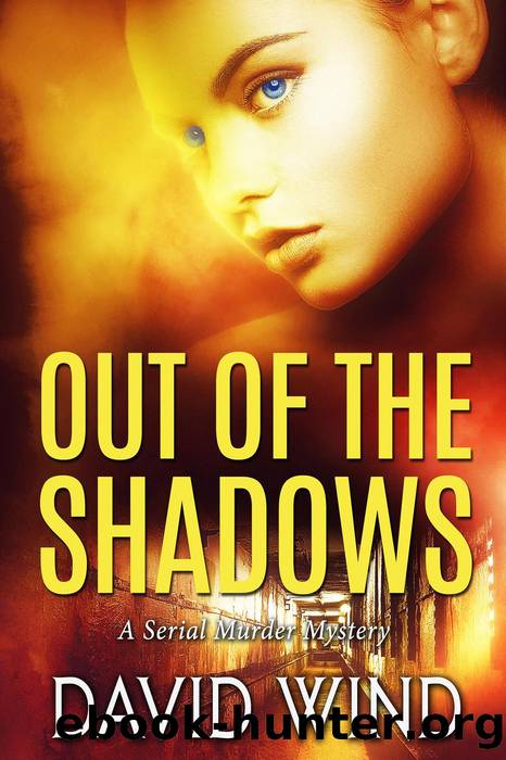 Out of the Shadows by David Wind
