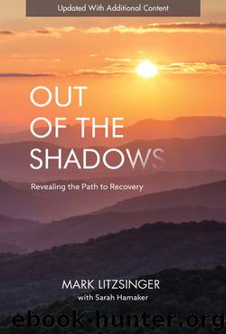 Out of the Shadows by Mark Litzsinger