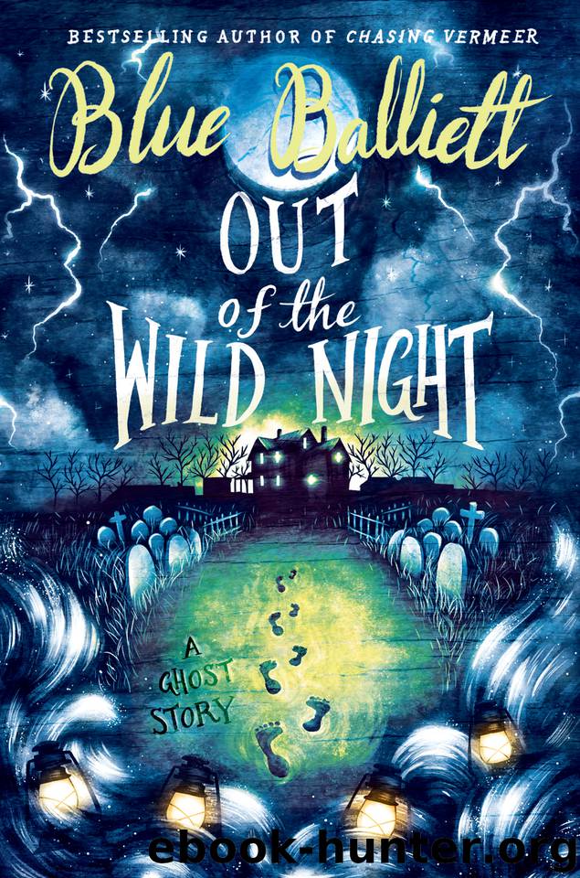 Out of the Wild Night by Blue Balliett