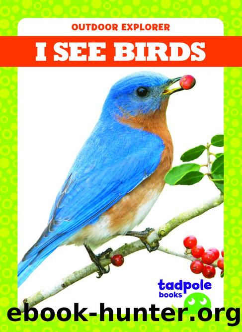 Outdoor Explorer I SEE BIRDS by Tim Mayerling
