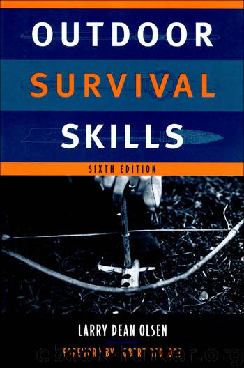 Outdoor Survival Skills by Olsen Larry Dean