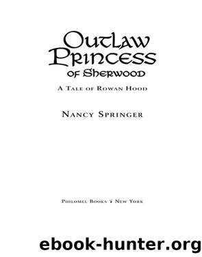 Outlaw Princess of Sherwood by Nancy Springer