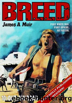 Outlaw Road (A Breed Western #10) by James A. Muir