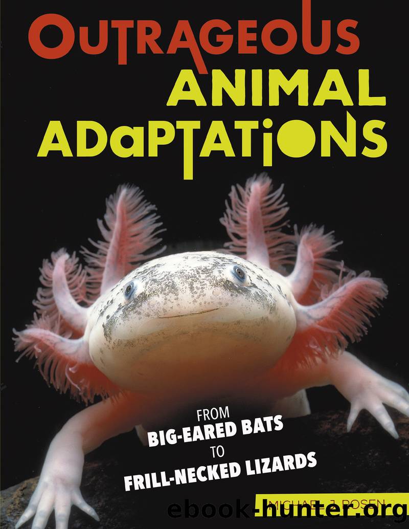 Outrageous Animal Adaptations by Michael J. Rosen