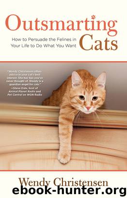 Outsmarting Cats by Christensen Wendy