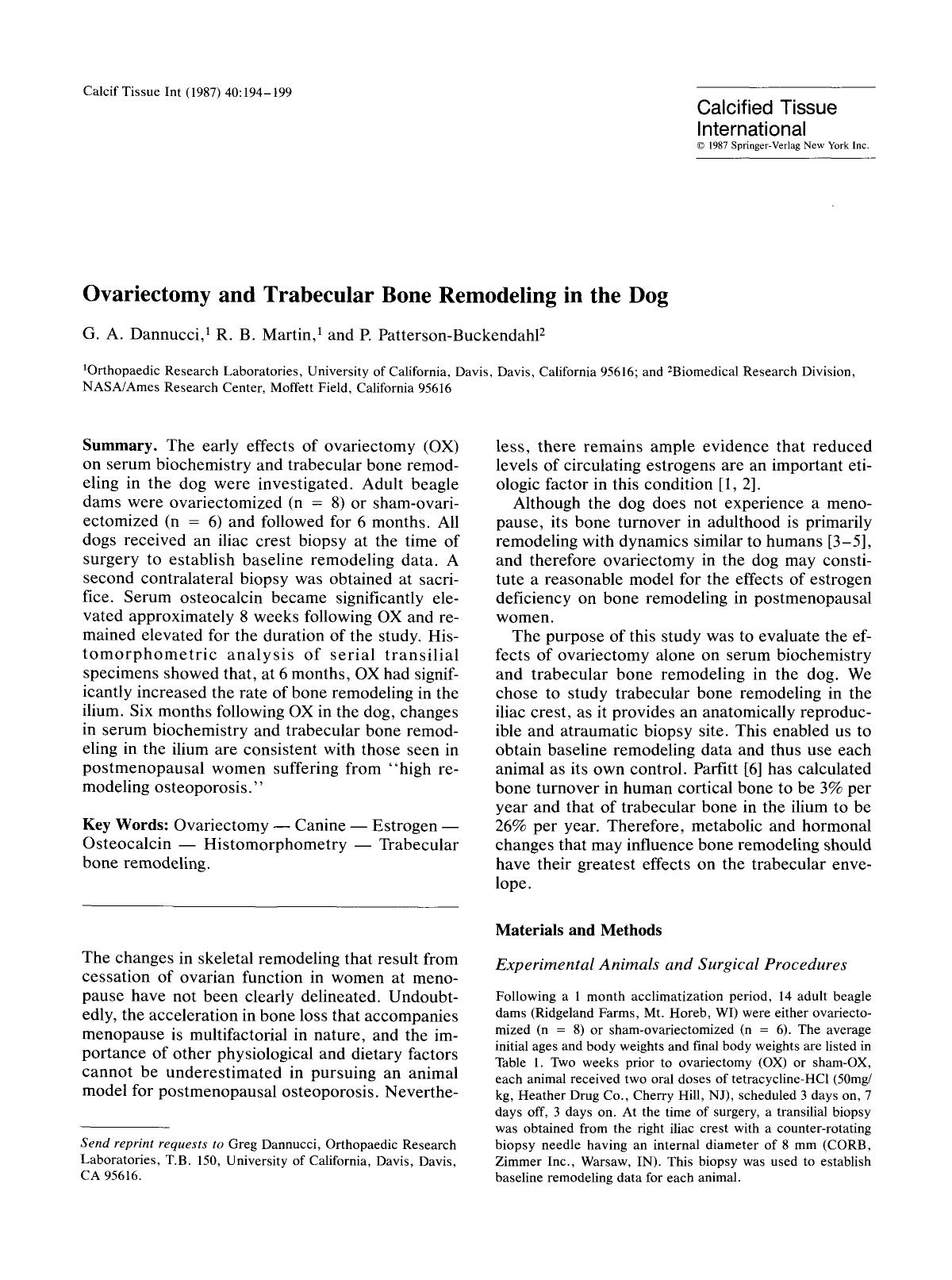 Ovariectomy and trabecular bone remodeling in the dog by Unknown