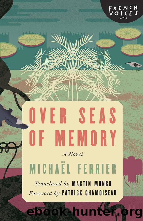 Over Seas of Memory_A Novel by Michaël Ferrier