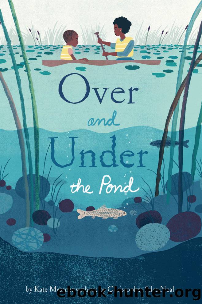 Over and Under the Pond by Kate Messner & Christopher Silas Neal