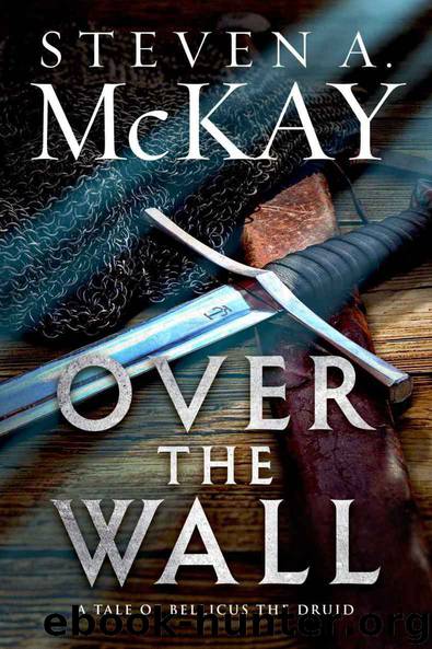 Over the Wall: A Warrior Druid of Britain Novelette by McKay Steven A