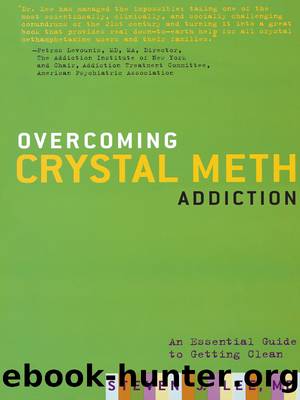 Overcoming Crystal Meth Addiction by Steven J. Lee