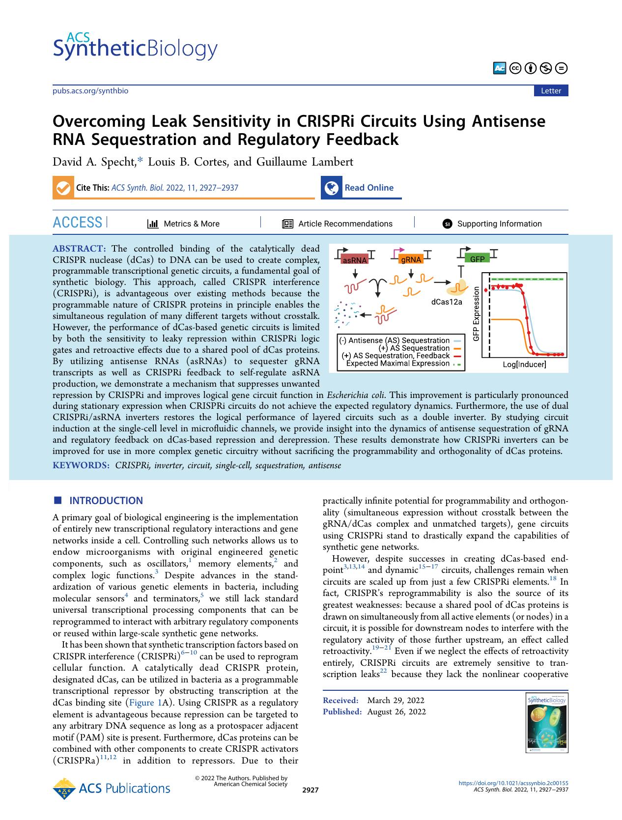 Overcoming Leak Sensitivity in CRISPRi Circuits Using Antisense RNA Sequestration and Regulatory Feedback by David A. Specht Louis B. Cortes and Guillaume Lambert