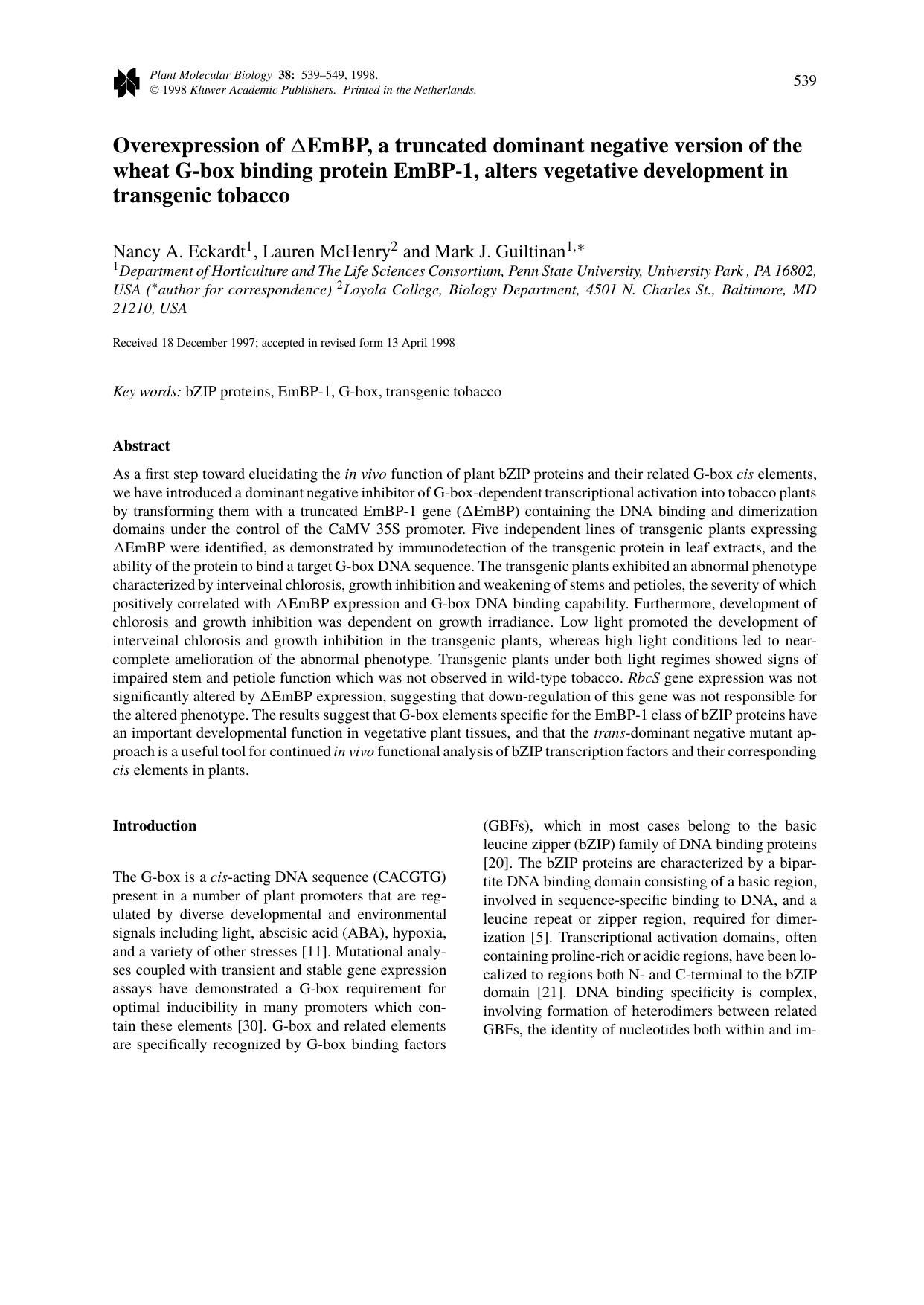 Overexpression of &#x0394;EmBP, a truncated dominant negative version of the wheat G-box binding protein EmBP-1, alters vegetative development in transgenic tobacco by Unknown