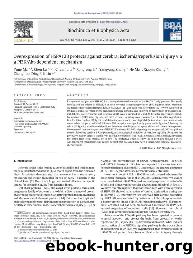 Overexpression of HSPA12B protects against cerebral ischemiareperfusion injury via a PI3KAkt-dependent mechanism by unknow