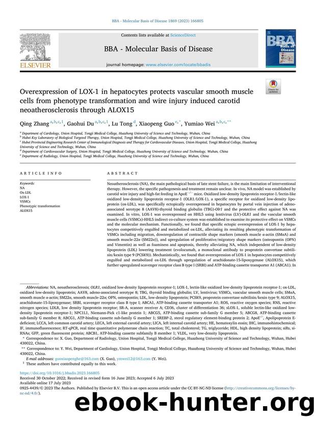 Overexpression of LOX-1 in hepatocytes protects vascular smooth muscle cells from phenotype transformation and wire injury induced carotid neoatherosclerosis through ALOX15 by Qing Zhang & Gaohui Du & Lu Tong & Xiaopeng Guo & Yumiao Wei