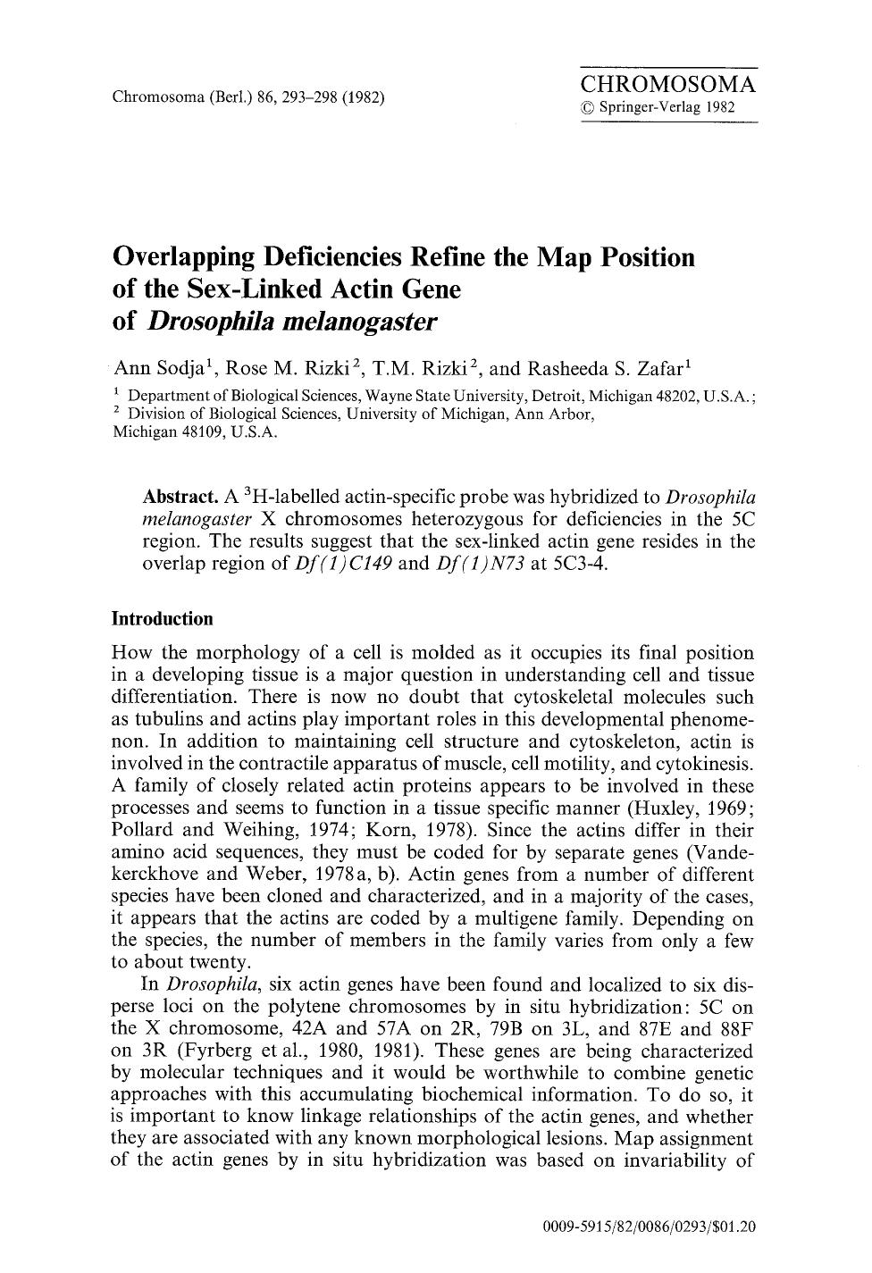 Overlapping deficiencies refine the map position of the sex-linked actin gene of <Emphasis Type="Italic">Drosophila melanogaster<Emphasis> by Unknown