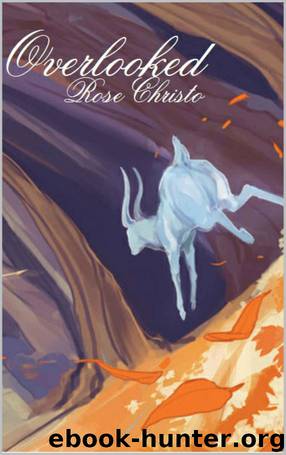 Overlooked by Rose Christo