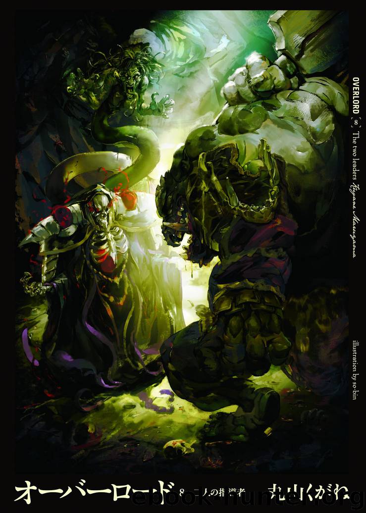 Overlord 08 - The Two Leaders by Maruyama Kugane