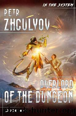 Overlord of the Dungeon (In the System Book #4): LitRPG Series by Petr Zhgulyov