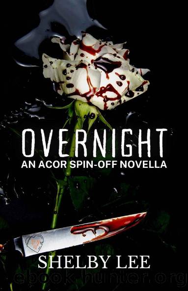 Overnight: An ACOR Spin-off Novella by Shelby Lee