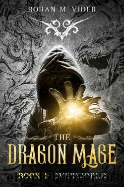 Overworld (Dragon Mage Saga Book 1): A fantasy post-apocalyptic story by Rohan M. Vider
