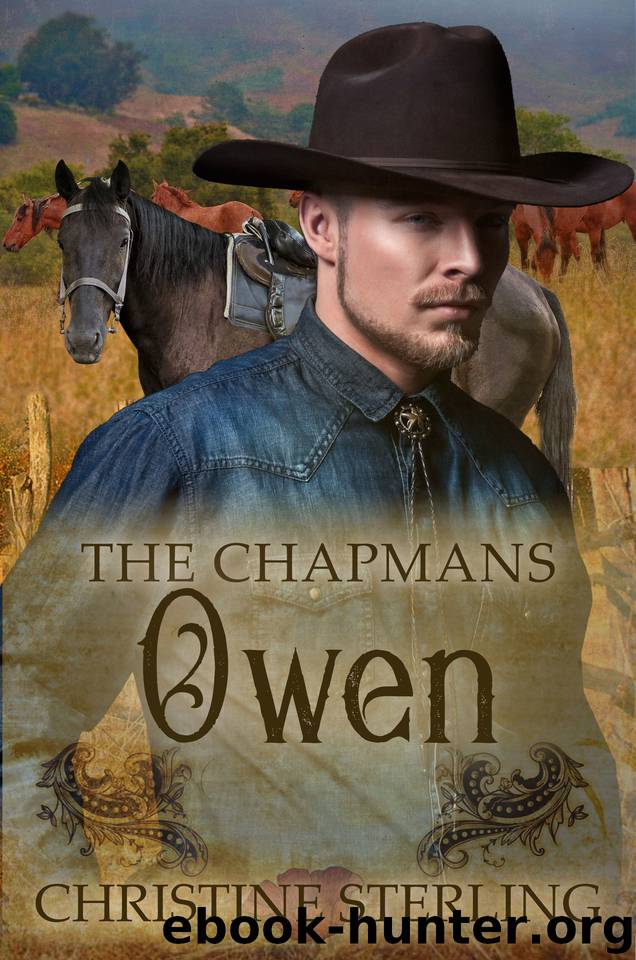 Owen (The Chapmans Book 1) by Christine Sterling