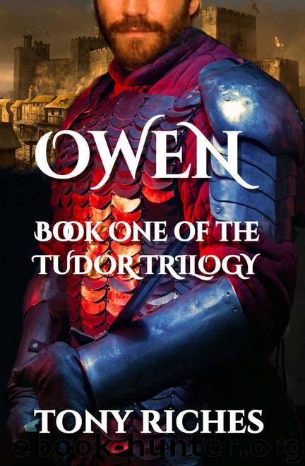 Owen - Book One of the Tudor Trilogy by Riches Tony