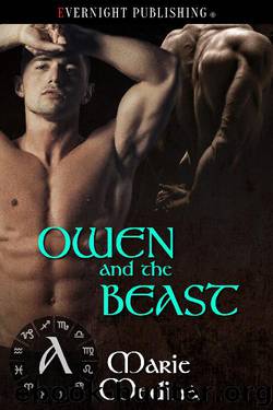 Owen and the Beast by Marie Medina