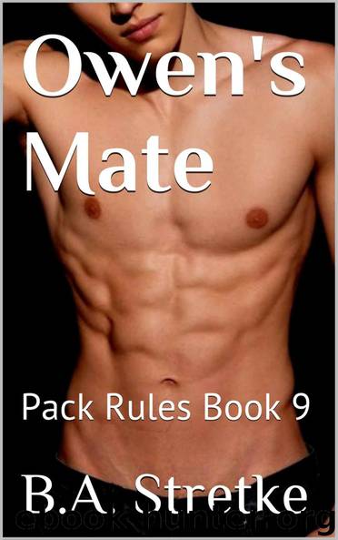 Owen's Mate: Pack Rules Book 9 by B.A. Stretke