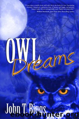 Owl Dreams by John T. Biggs