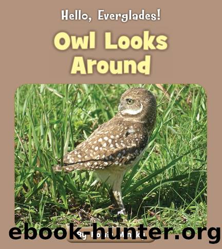 Owl Looks Around by Howie Minsky
